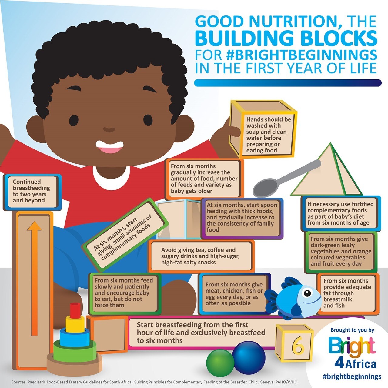 02 - Nutrition the building blocks - Info Graphic 03